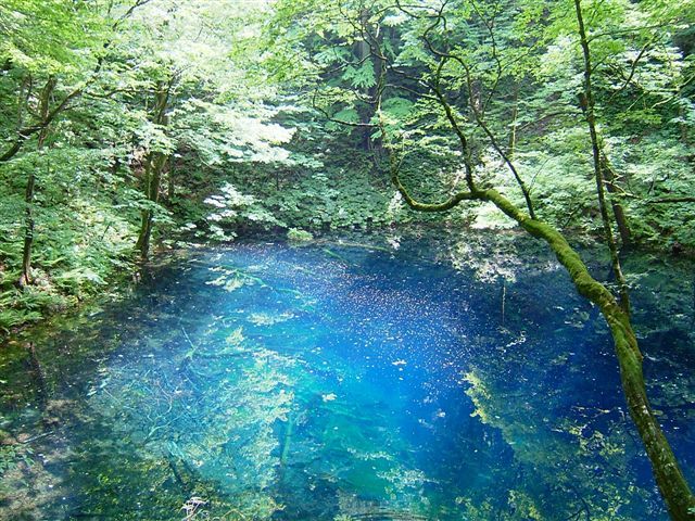c0072801_235504.jpg