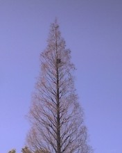 c0164401_2358714.jpg