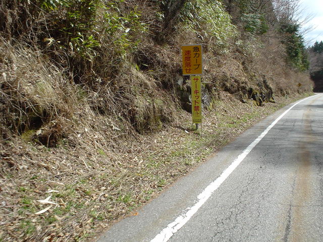 a0116205_222281.jpg