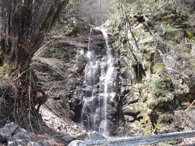 a0116205_2283675.jpg