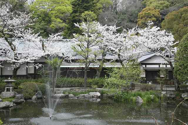 a0188405_23534323.jpg