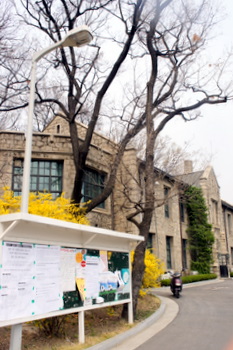 c0148705_12142696.jpg