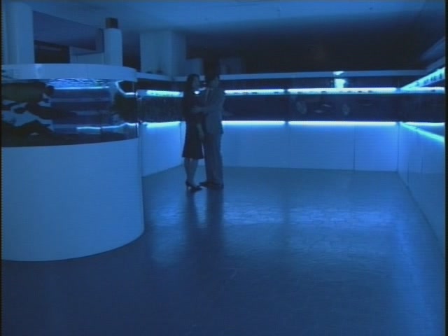 d0017307_19173558.jpg