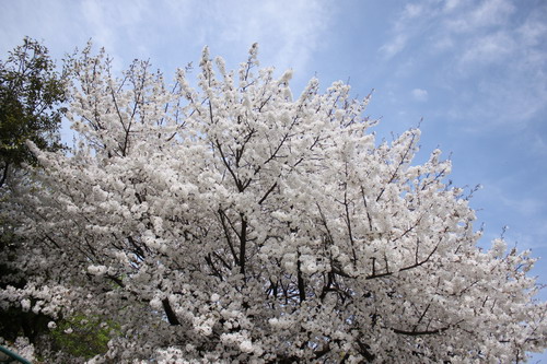 c0101713_2135571.jpg