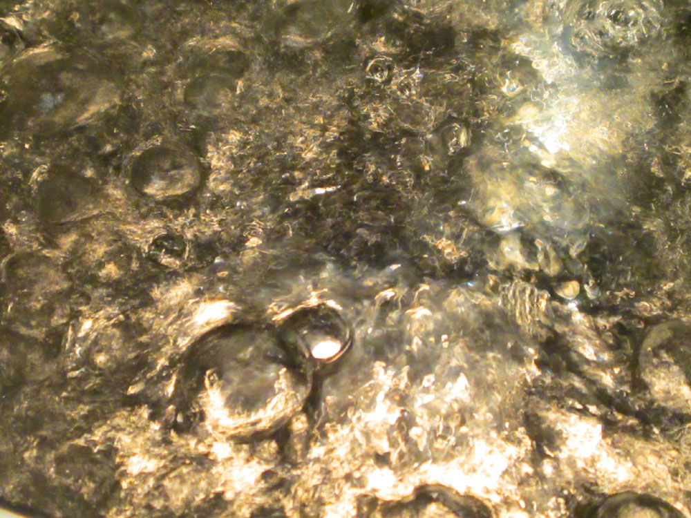a0101715_23304521.jpg
