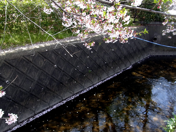 e0083517_2325649.jpg