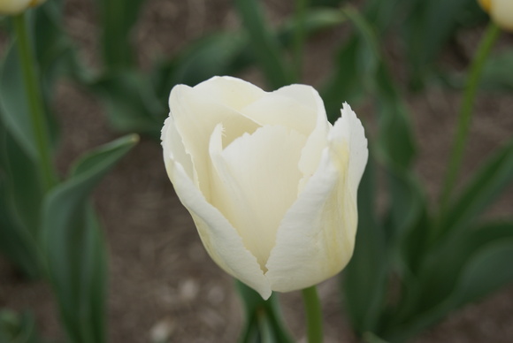 c0020320_20244330.jpg