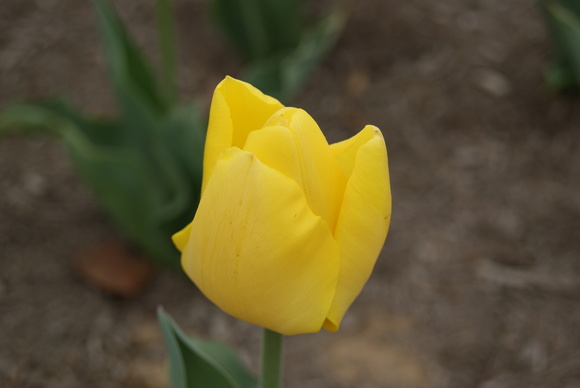 c0020320_20251590.jpg