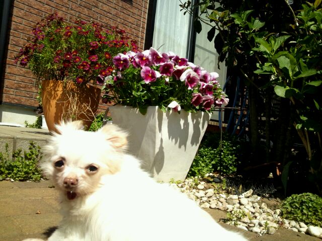c0150520_00336.jpg