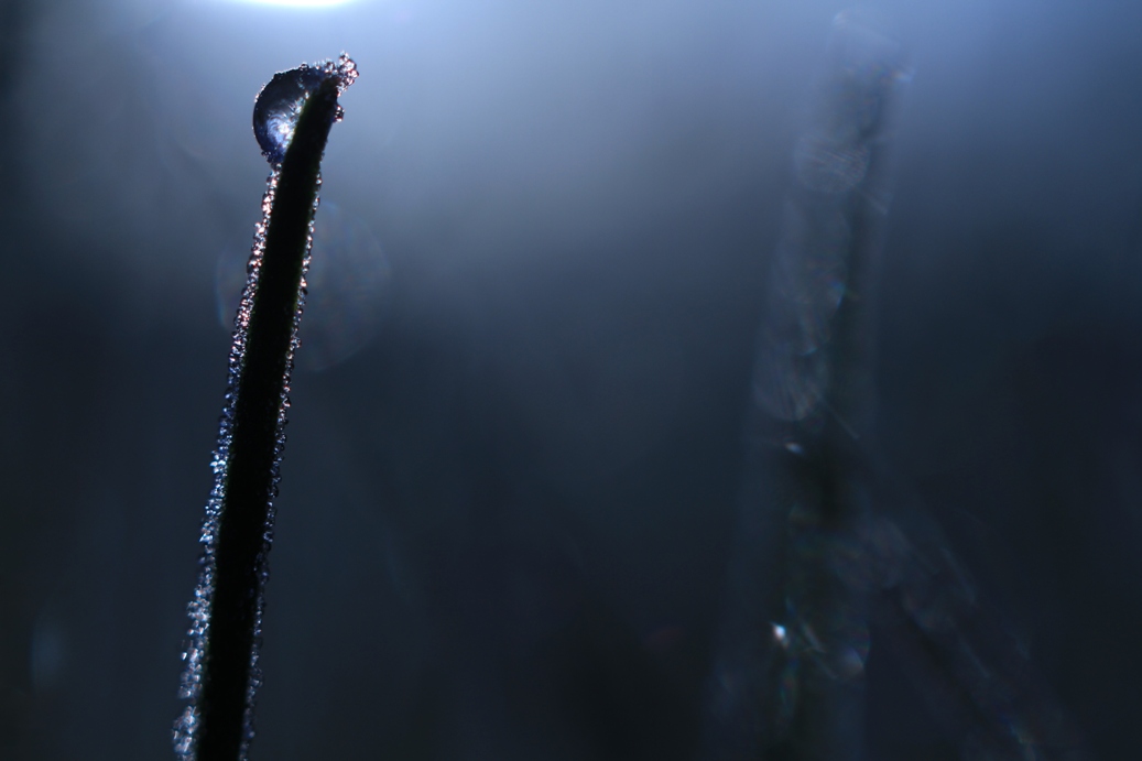 b0146723_9502936.jpg