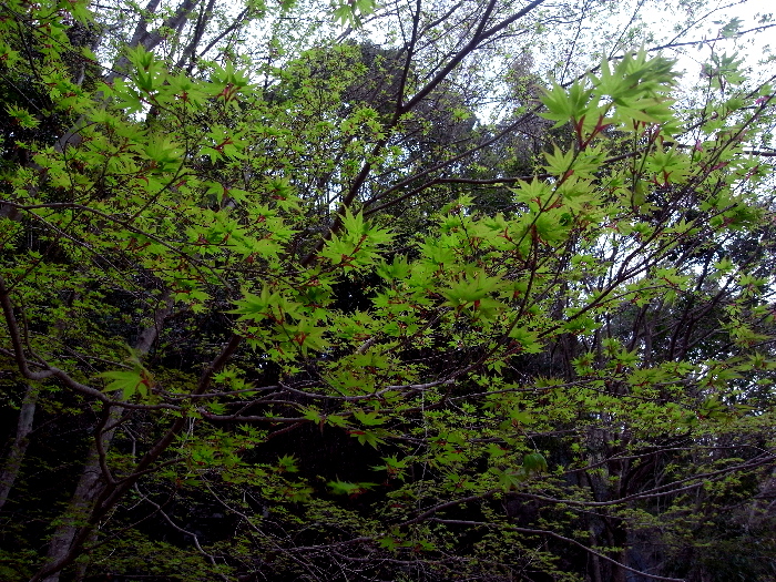 f0103126_22272593.jpg
