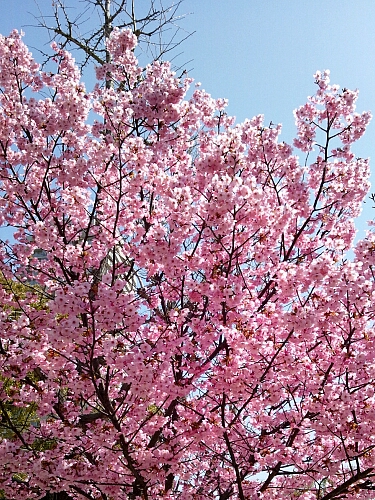f0037227_001623.jpg