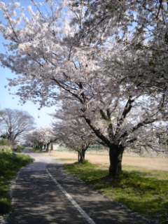 c0034228_0525023.jpg