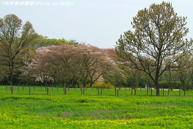 a0195032_20235736.jpg
