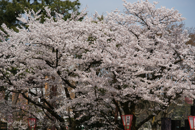 b0177233_5351757.jpg