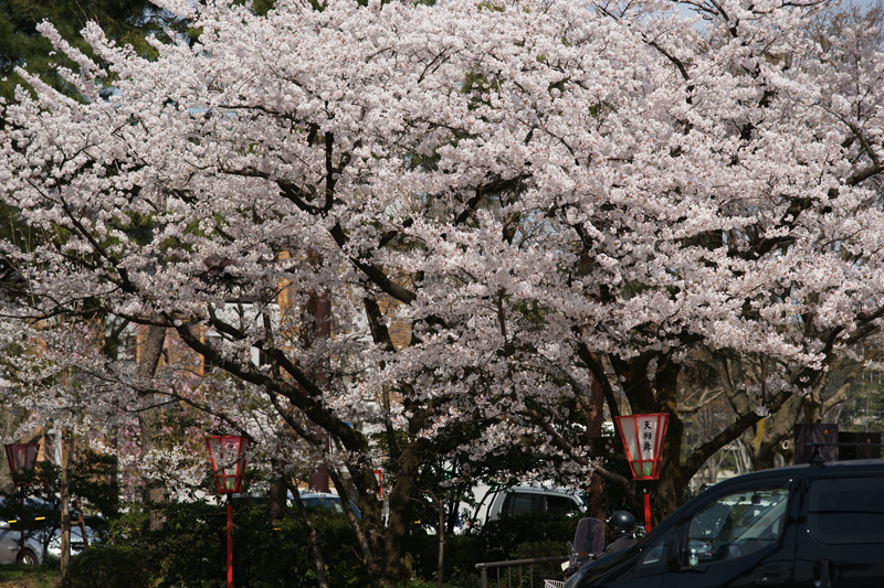 b0177233_535195.jpg
