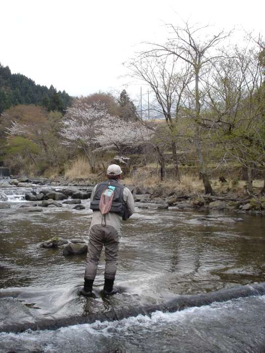c0133133_23133885.jpg