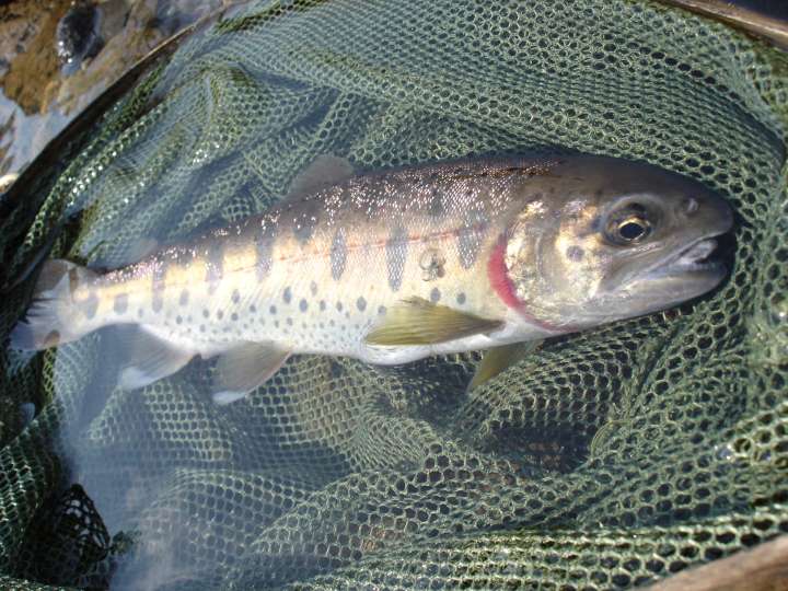 c0133133_23182242.jpg
