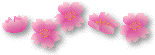 a0017634_11143872.gif