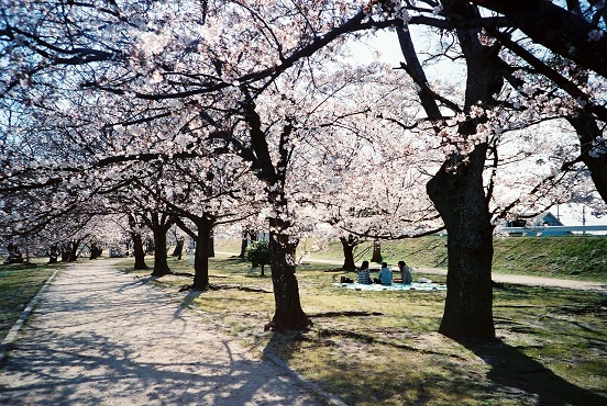 a0031338_17554933.jpg