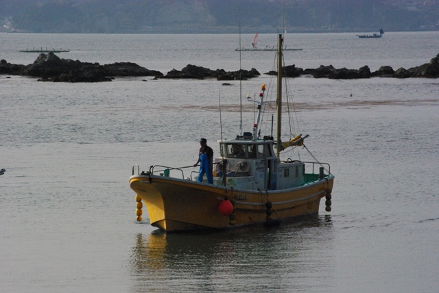 d0218238_225581.jpg