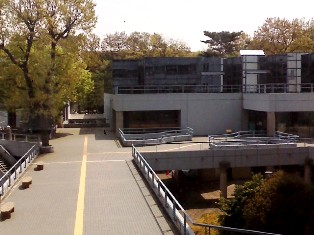 c0101739_2024235.jpg