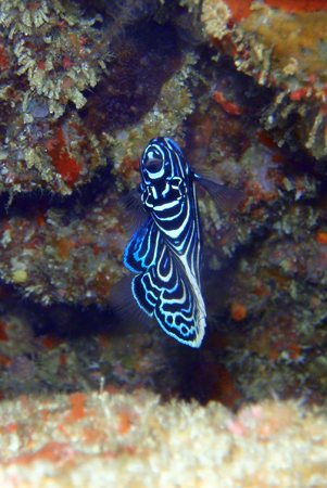 f0014842_17161791.jpg