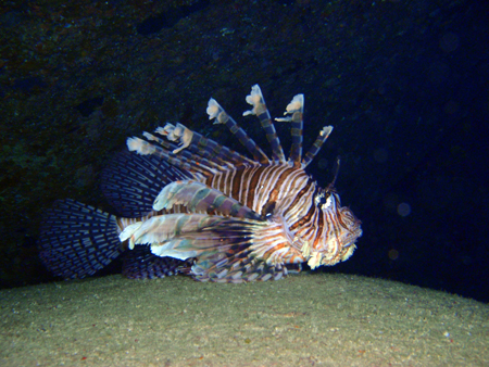 f0014842_1720353.jpg