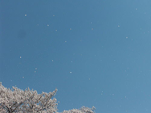 f0094843_21334564.jpg