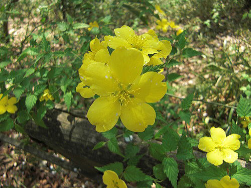 f0094843_2141016.jpg