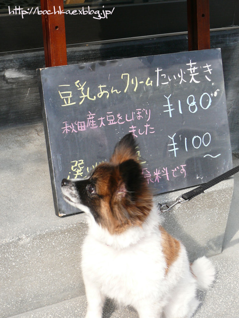 a0157646_1225306.jpg
