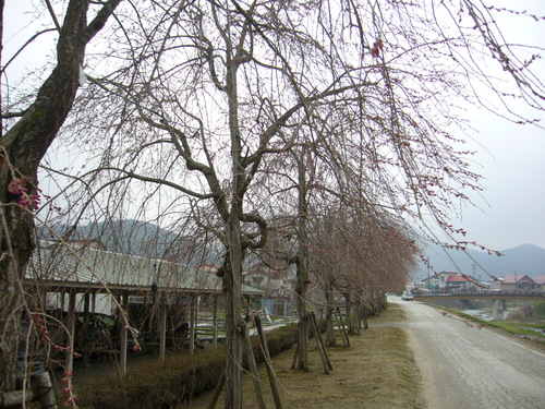 b0174451_756470.jpg