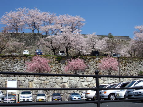 c0147952_0144870.jpg