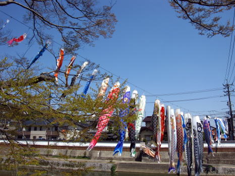 c0147952_015434.jpg