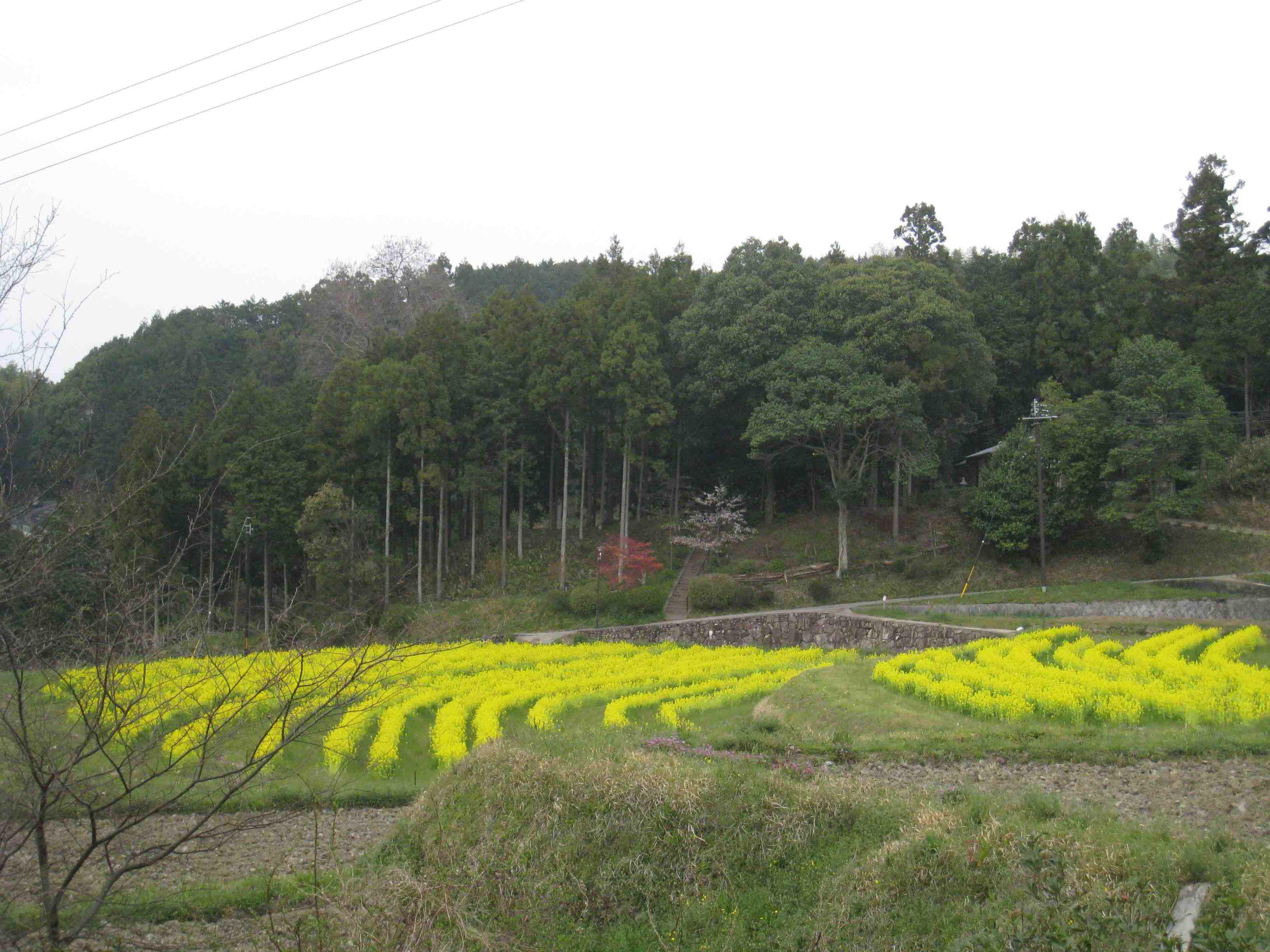 f0233356_21474649.jpg