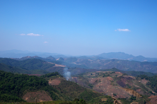 c0103558_725049.jpg