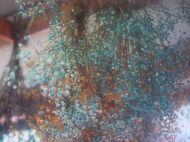 e0134264_2284637.jpg