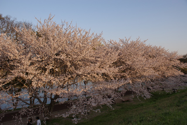 a0091666_17451738.jpg
