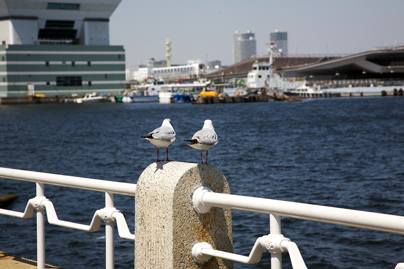b0107366_1824714.jpg