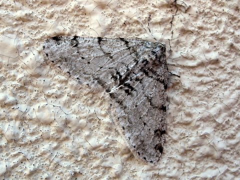 b0130166_20313.jpg