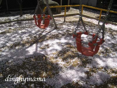 c0117570_12185366.jpg