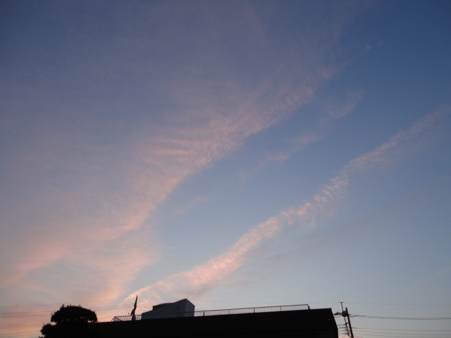 d0109373_21101145.jpg