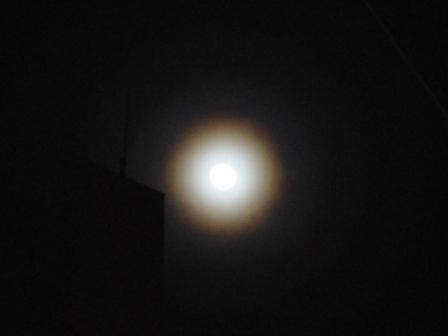 d0109373_2152291.jpg