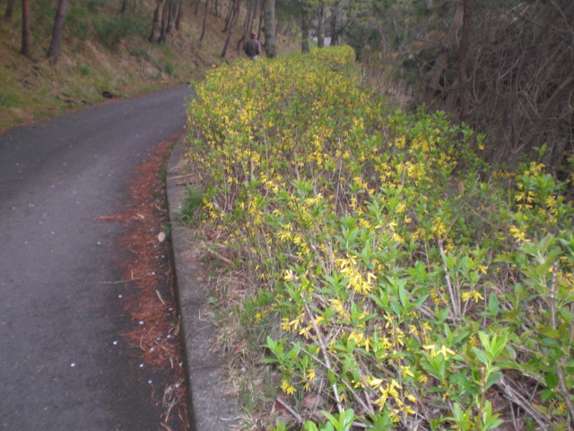 f0153475_1914230.jpg