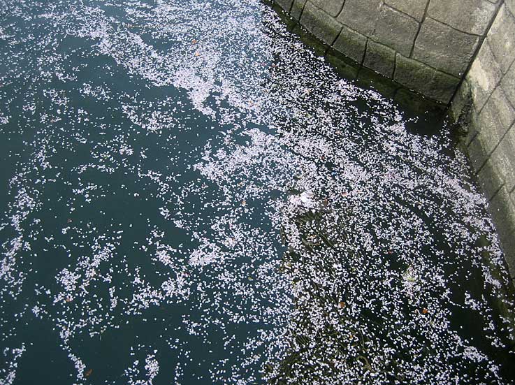 b0057679_826579.jpg