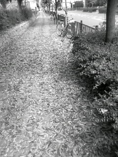 f0100480_21211758.jpg