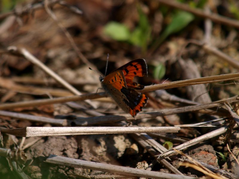 b0108186_0235449.jpg