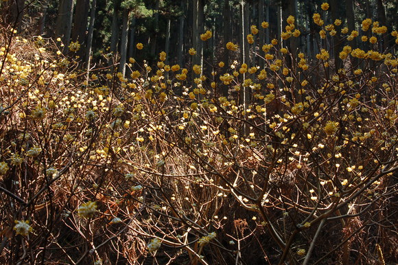 b0203588_1225499.jpg
