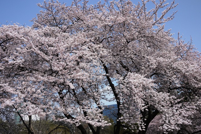 a0127090_13445130.jpg