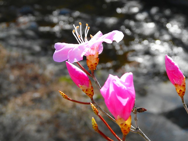 e0202393_20363681.jpg